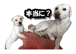 374529370