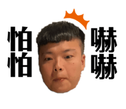 374535238