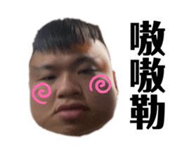 374535241