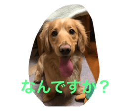 374567909