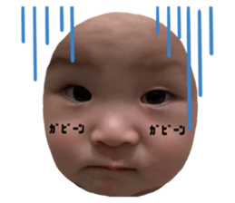 374615017