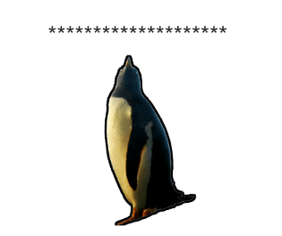 374625720