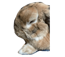 374660599