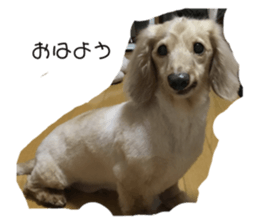 374664632