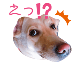374796453