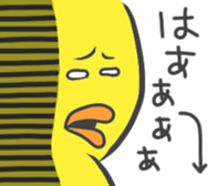 374844205