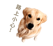 374858847