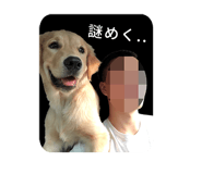 374858852