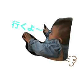 374880801