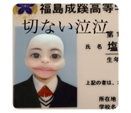 374887516