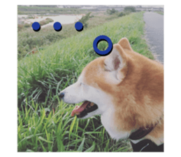 37489183