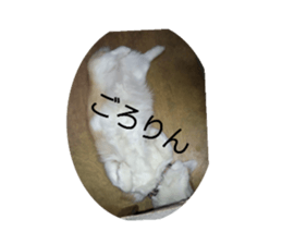 374903078