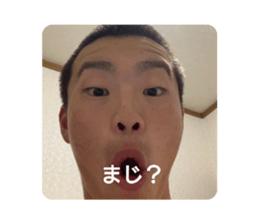 374914619