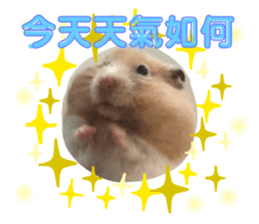 374941492