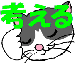 3750191