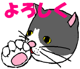 3750199