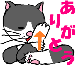 3750200