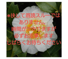 37504549