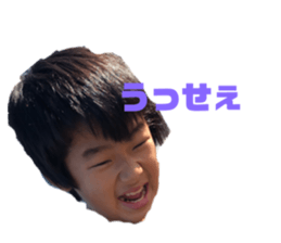 375083834