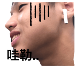375117732