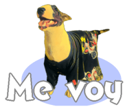 375142995