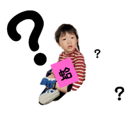 375146626