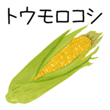 375160825