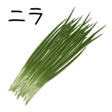 375160835