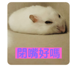 375165291