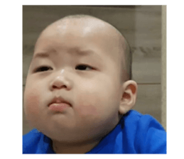 375181102