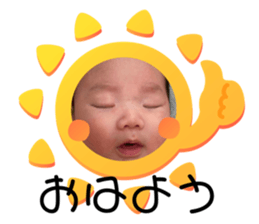 375181545