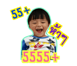 37522353