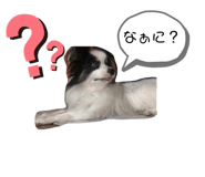 375263679