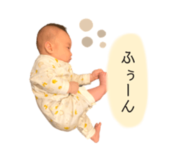 375271086