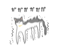 375367205