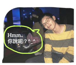 37536788