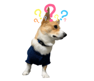 375377298