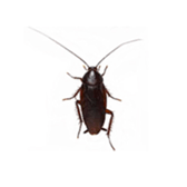 375405406
