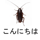 375405407