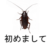 375405408