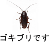 375405409