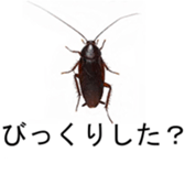 375405410