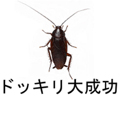 375405411