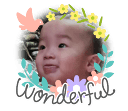 375431741