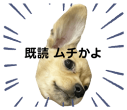 375433286