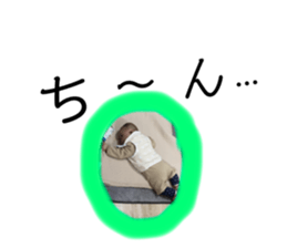 375465611