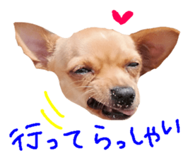 375505040