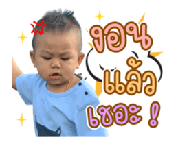 375514197