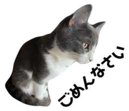 375529895