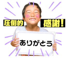 375533861
